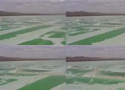 九游网址 -寰俊鏈鏂扮數鑴戠増涓嬭浇